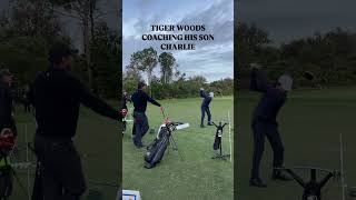 Rate Charlie Woods Golf Swing 😳 tigerwoods charliewoods pgatour [upl. by Eremihc]