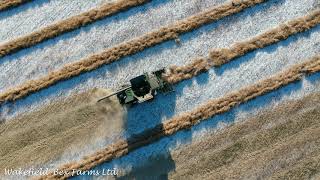 Combining in the Snow Harvest 2019 [upl. by Anesor]