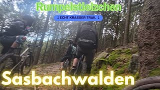 🤘 Sasbachwalden 🔵 Rumpelstielzchen ⎮ GIANT Reign e [upl. by Atnicaj]