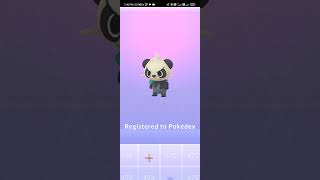 New 12KM Egg Hatching  Look Who it is  Pokemon  Pokemon Go [upl. by Heck234]