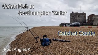 Catch Fish in Southampton Water CALSHOT CASTLE [upl. by Aztiray]