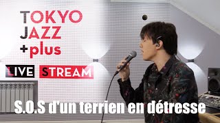 Dimash  SOS Dun Terrien En Détresse  Tokyo Jazz Festival 2020 [upl. by Theron957]