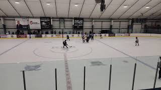 Live streaming of Mankato Peewee A 2024 [upl. by Herbie313]