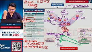 BÁSICAS I  HEMATOLOGÍA [upl. by Essy]