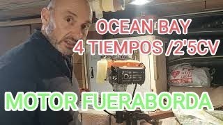 72 MANTENIMIENTO MOTOR FUERABORDA OCEAN 25 CV 4 TIEMPOS [upl. by Map]