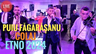 Puiu Fagarasanu🆙Colaj Etno💯 Live 2024 [upl. by Euphemie]