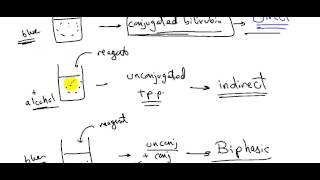 JAUNDICE  DR SAMEH GHAZY [upl. by Ardis]