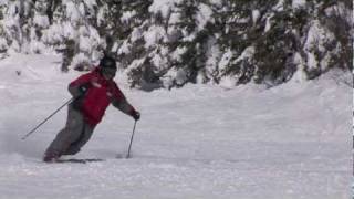 CANSI Presents Skiing Standards  Telemark [upl. by Ledba]