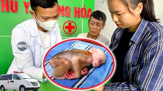 Take the baby monkey to the doctor hope all goes well [upl. by Ellenaej]