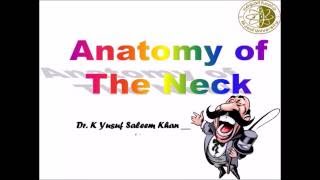 Anatomy  NECK  Complete  Dr Yusuf [upl. by Alleber]