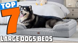 Top 7 Dog Beds for Large Breeds in 2024 [upl. by Campos]