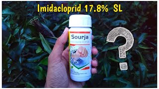 What Is Imidacloprid 178 SL Systemic Insecticide  How To Use Imidacloprid Insecticide On Plants [upl. by Bandur]