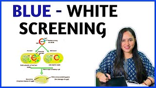 BLUE WHITE SCREENING I Biotechnology  Recombinant DNA Technology RDT [upl. by Konopka969]