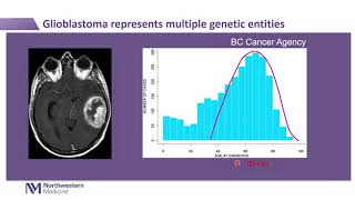 A Contemporary Molecular View of Diffuse Gliomas with Implications for Diagnosis and Treatment [upl. by Sirhc439]