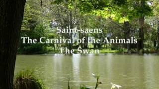 The Carnival of the Animals  The Swan [upl. by Ayotna]