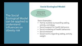 Applying the Social Ecological Model to Understand Obesity Risk Factors [upl. by Sualkin]