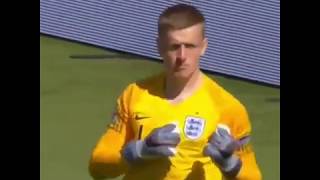 Pickford Wonderful Penalty and Save Vs Switzerland [upl. by Mook937]