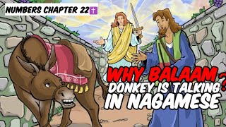 The story of Balaam and his talking Donkey in Nagamese  Balak Summons Balaam Number chapter 22 [upl. by Ecilahs]