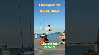 Epic redfish dock flip fishing redfish fish fishinglife bassfishing [upl. by Itram]