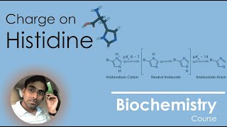 How Charge of Histidine varies with pH [upl. by Ardnuas]