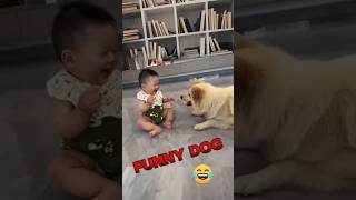 How kids play with dogs kids dog [upl. by Znieh]