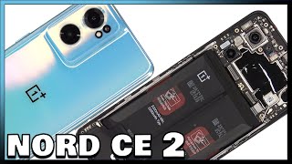 OnePlus Nord CE 2 Disassembly Teardown Repair Video Review [upl. by Albert998]