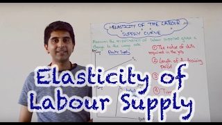 Elasticity of the Labour Supply Curve [upl. by Nakhsa399]