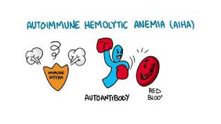 Autoimmune Hemolytic Anemia [upl. by Kai]