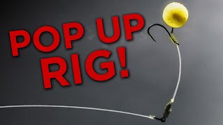 How To Tie and Use The Stiff Hinge Rig [upl. by Annahaj]