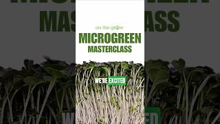 🌱 Microgreen Masterclass Course Learn to Grow amp Profit [upl. by Ellives456]