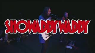 Celebrate 50 years of Showaddywaddy at Hull City Hall [upl. by Aesoh]