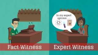 What is an expert witness [upl. by Sivrahc]