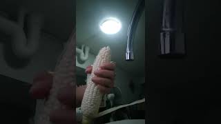 HUSKING sweet corn 💥💥💥 foryou foryou husking satisfying [upl. by Paulo]