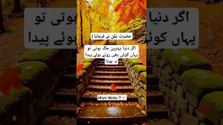 Hazrat ali aqwalduniya behtreen jaga hoti to qouteshortvideo [upl. by Eziechiele]