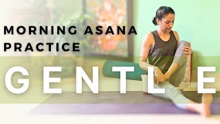 Gentle Yoga Asana Practice  Beginners Gentle Yoga [upl. by Lisha]