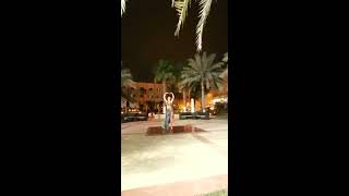 Belly dancer Azza  show in the UAE part [upl. by Nylhtac235]