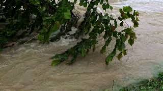 Hochwasser Friedrichshafen Bodensee 01Juni 2024 [upl. by Sefton]