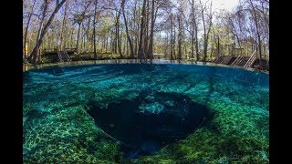 Nymano  I Wish I Could Sleep Extended With DALLMYD  Ginnie Springs FL [upl. by Eirak656]