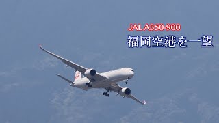 【豪快に旋回】福岡市上空を豪快に着陸、離陸をする飛行機A350900 [upl. by Nauq704]