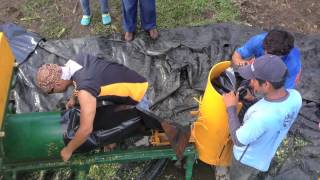 Recoleccion de Cultivos de Maiz y Sorgo para Ensilaje Yopal  Casanare [upl. by Odlanir916]