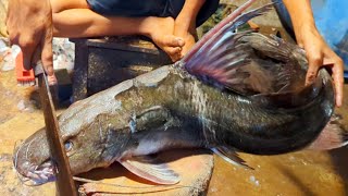 Amazing Giant Ayer Fish Cutting Skills In Bangladesh Local Fish Market By Expert Cutter [upl. by Ennazzus]