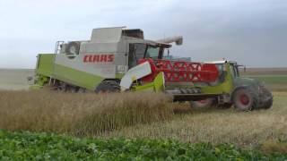 Moisson colza 2014Class Lexion 450Fendt Vario 818 [upl. by Laehcor]