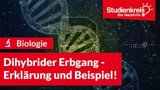 Dihybrider Erbgang  Erklärung und Beispiel  Biologie verstehen mit dem Studienkreis [upl. by Alexandro545]