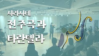 사라사테  전주곡과 타란텔라 IM strings서울 [upl. by Jamille52]