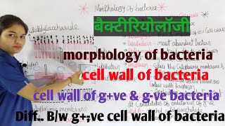 Morphology of Bacteria in hindi  Bacterial Structure  Bacteriology  By Manisha Maam [upl. by Annyl]