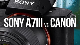 Sony a7iii vs Canon as a 1Dx Mark II owner [upl. by Vittoria]