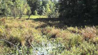 Great Swamp  Observation Center  njHikingcom [upl. by Torey258]