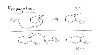 Anti Markovnikov Addition to Alkenes [upl. by Nealah961]