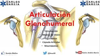 Anatomía  Articulación Glenohumeral Ligamentos Cápsula Movimientos [upl. by Quintana]