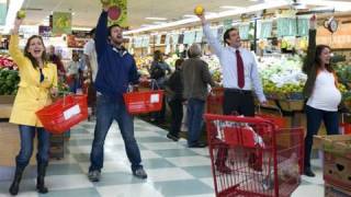 Grocery Store Musical  Musicals In Real Life Episode 2 [upl. by Sotsirhc164]